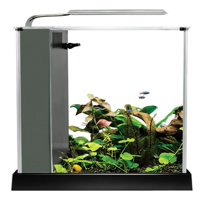 Spec Aquarium Kit, 2.6 US Gal / 10 L