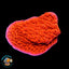 Red Montipora Coral