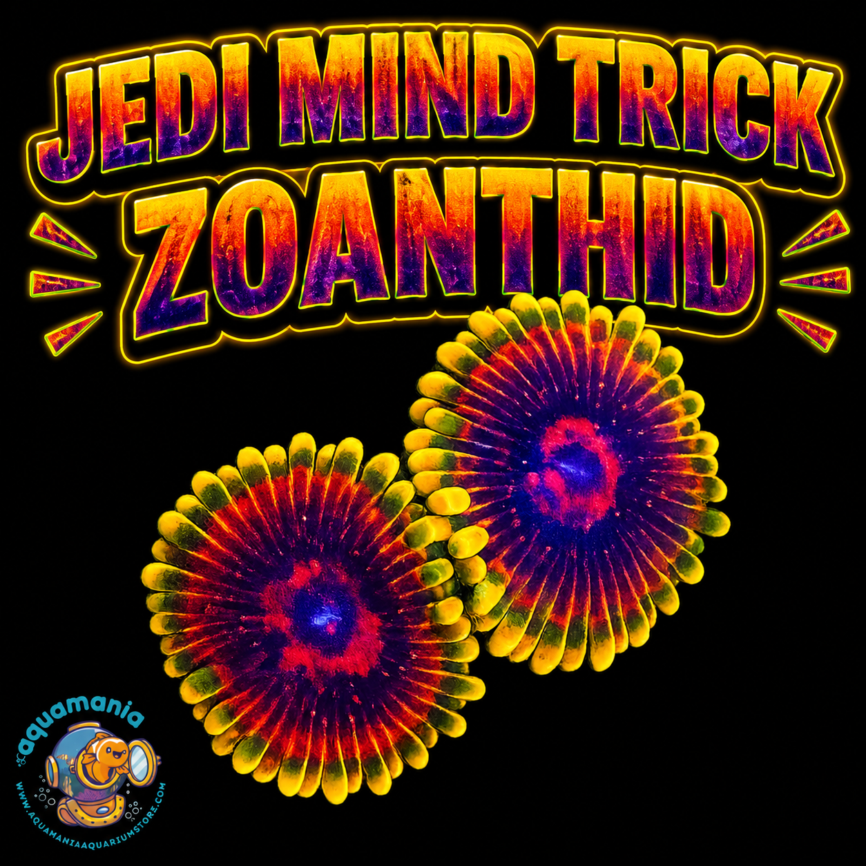 Jedi Mind trick Zoanthids Coral