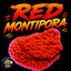 Red Montipora Coral