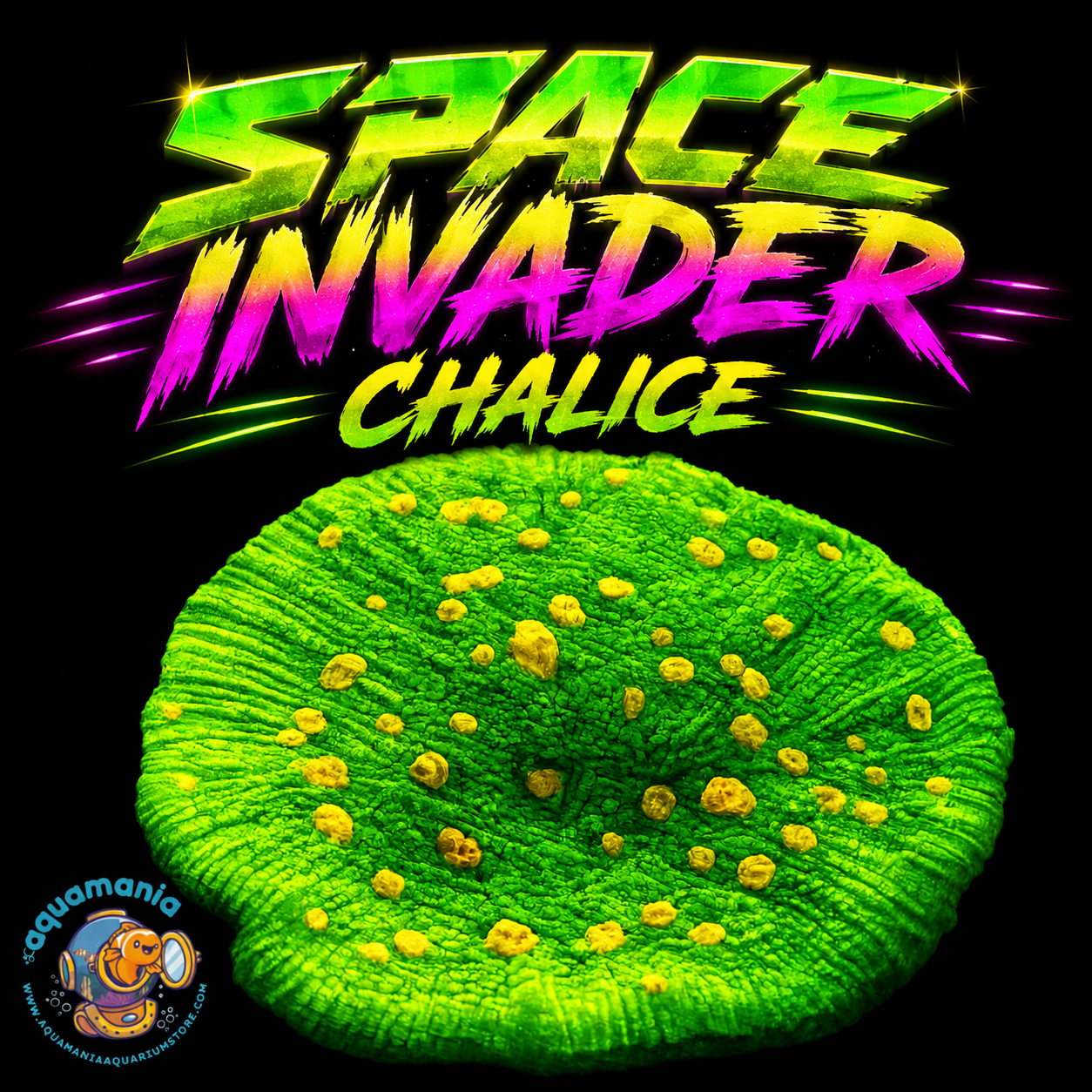 Space Invader Chalice Coral