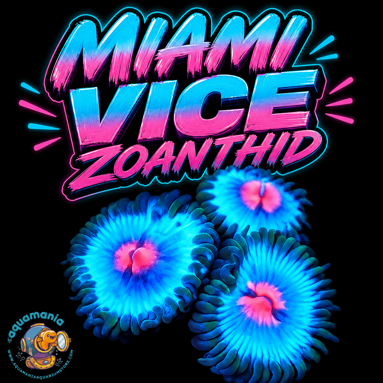 Miami Vice Zoanthids Coral