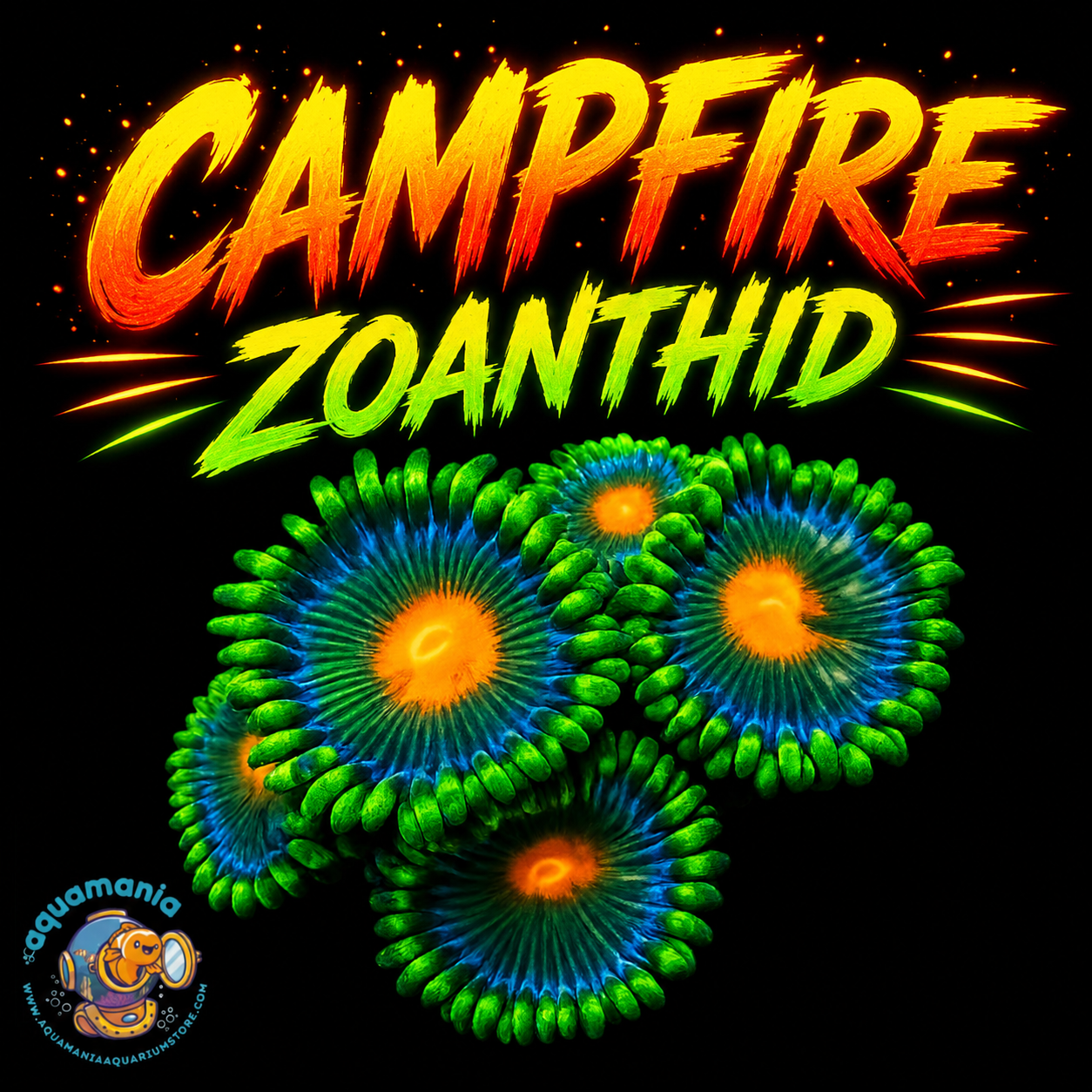 Campfire Zoanthids Coral